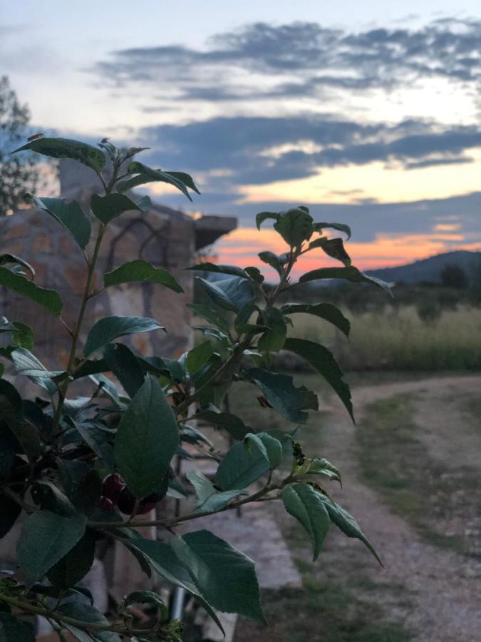 Cottage Rugonj Stari Grad  Buitenkant foto