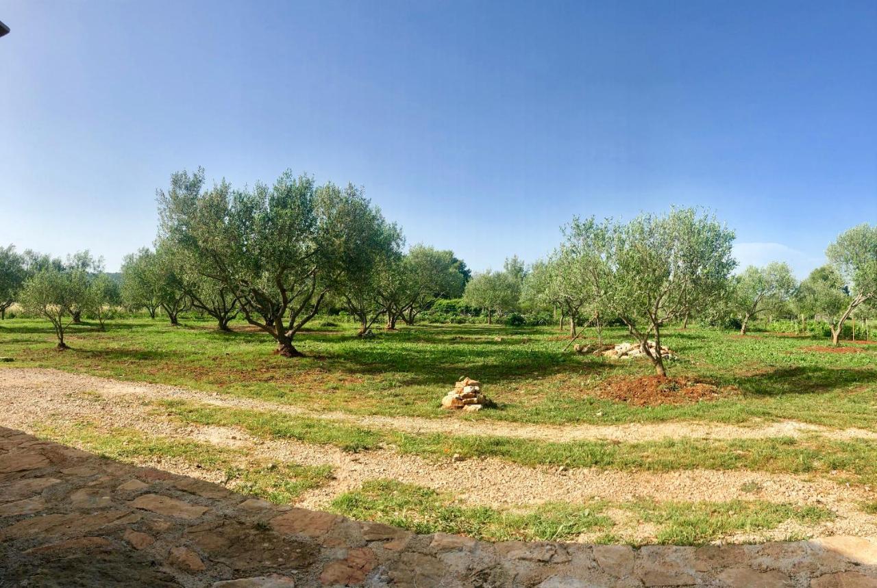 Cottage Rugonj Stari Grad  Buitenkant foto