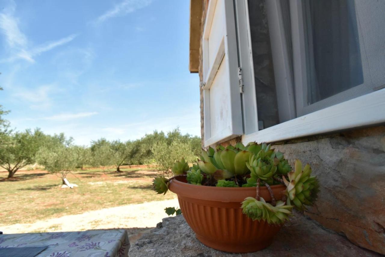 Cottage Rugonj Stari Grad  Buitenkant foto