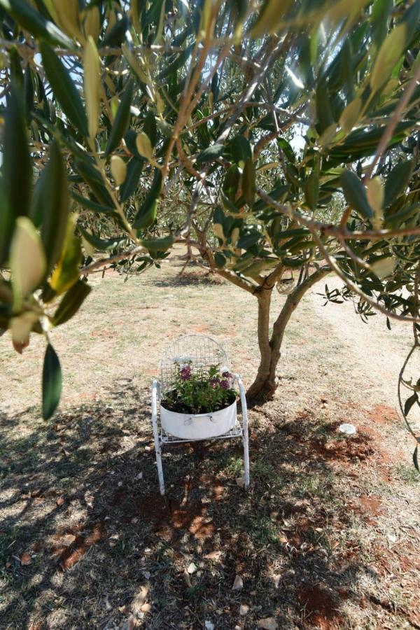 Cottage Rugonj Stari Grad  Buitenkant foto
